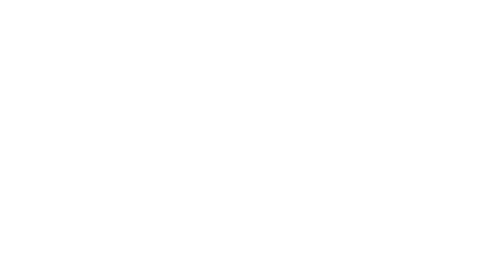 Boyd Wills law firm